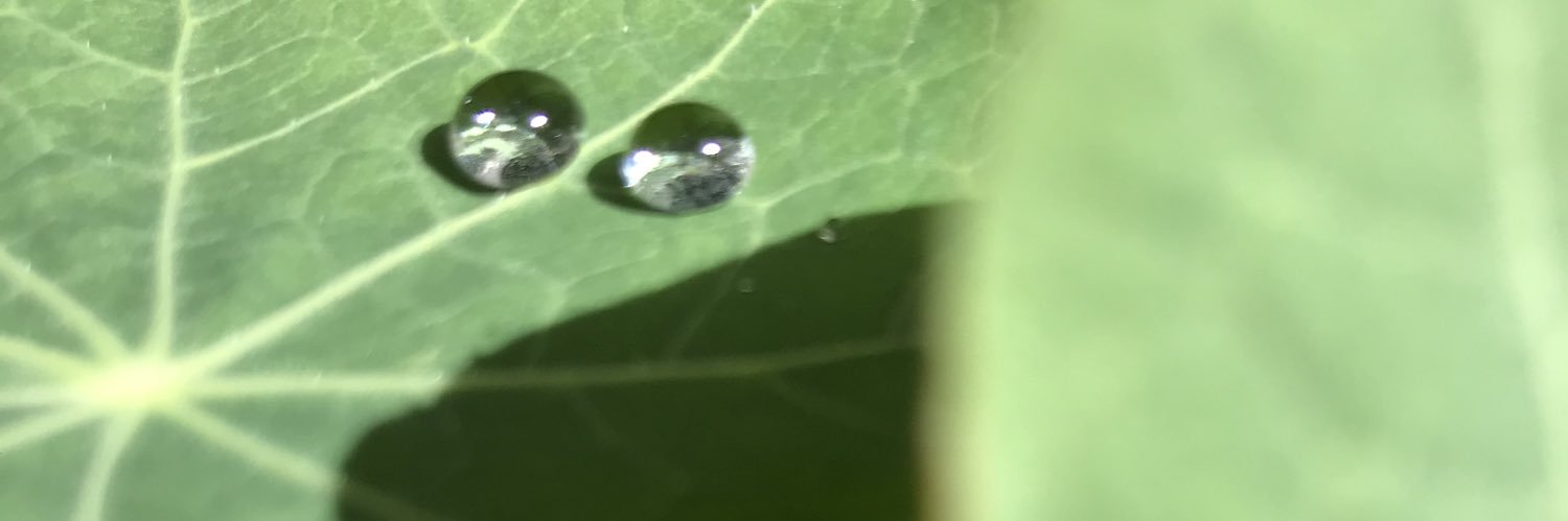 SagemHeidy's profile banner image