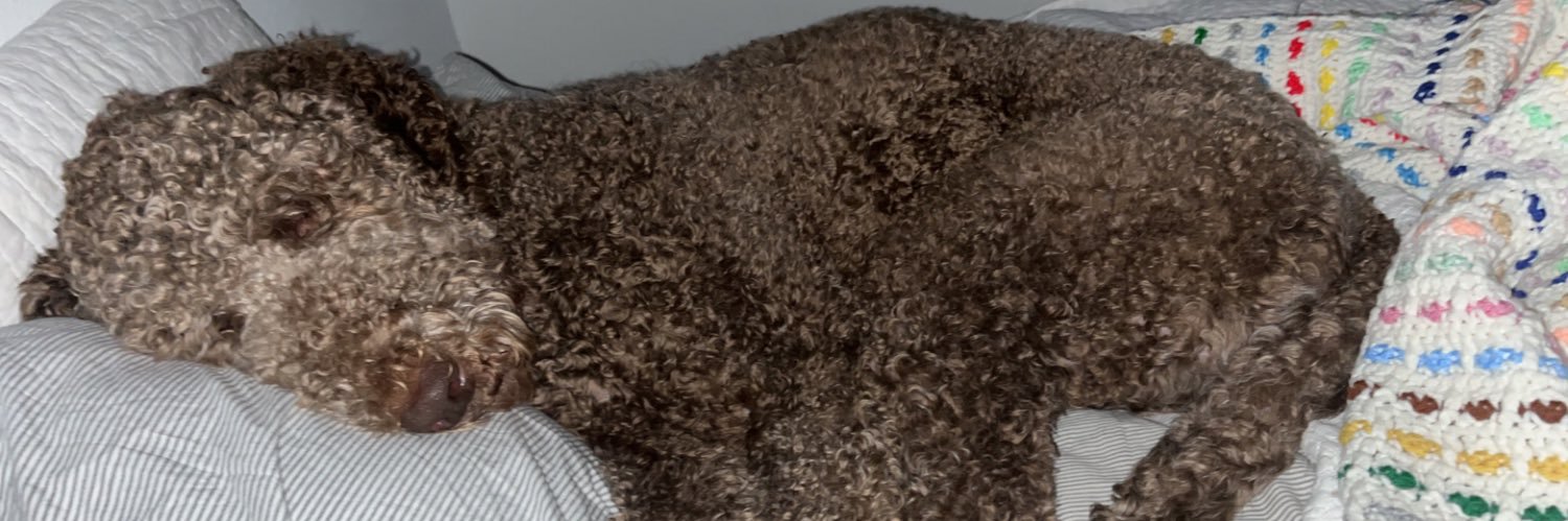 marisalaina_'s profile banner image