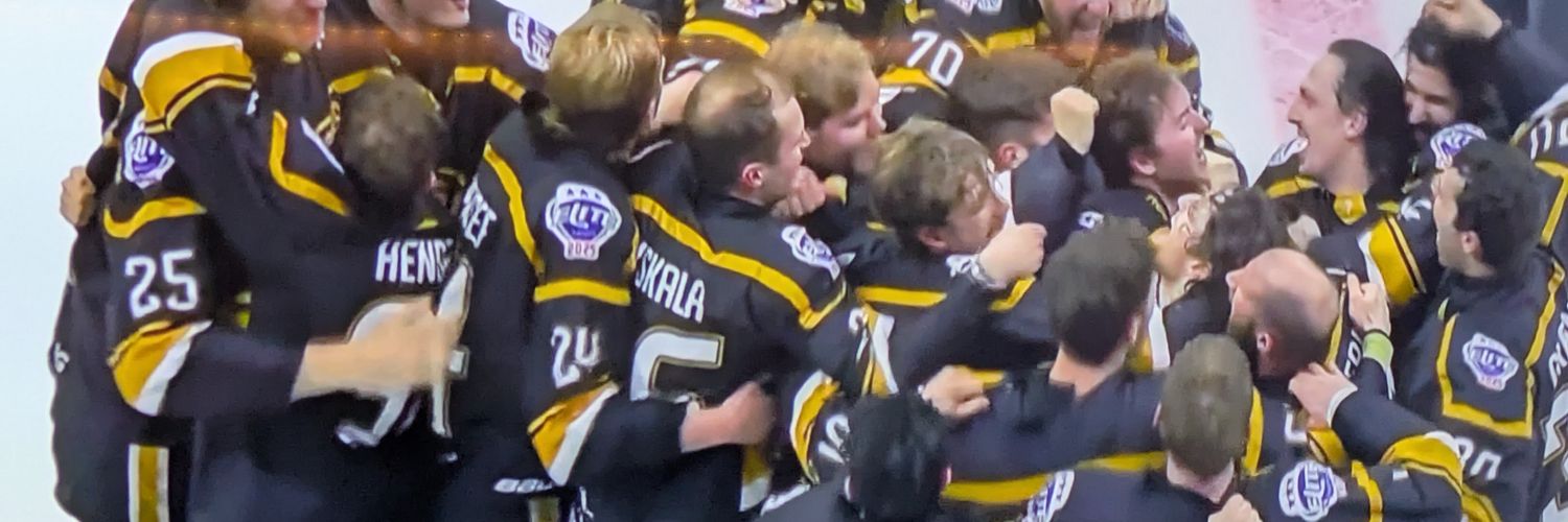 Cllr Adele Williams banner