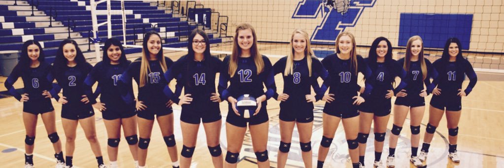 vballnorth's profile banner image