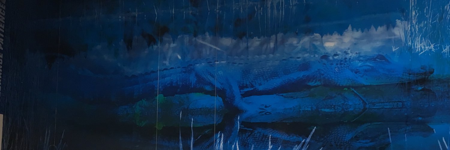 LobitMS's profile banner image