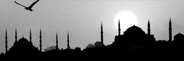 Y.A banner