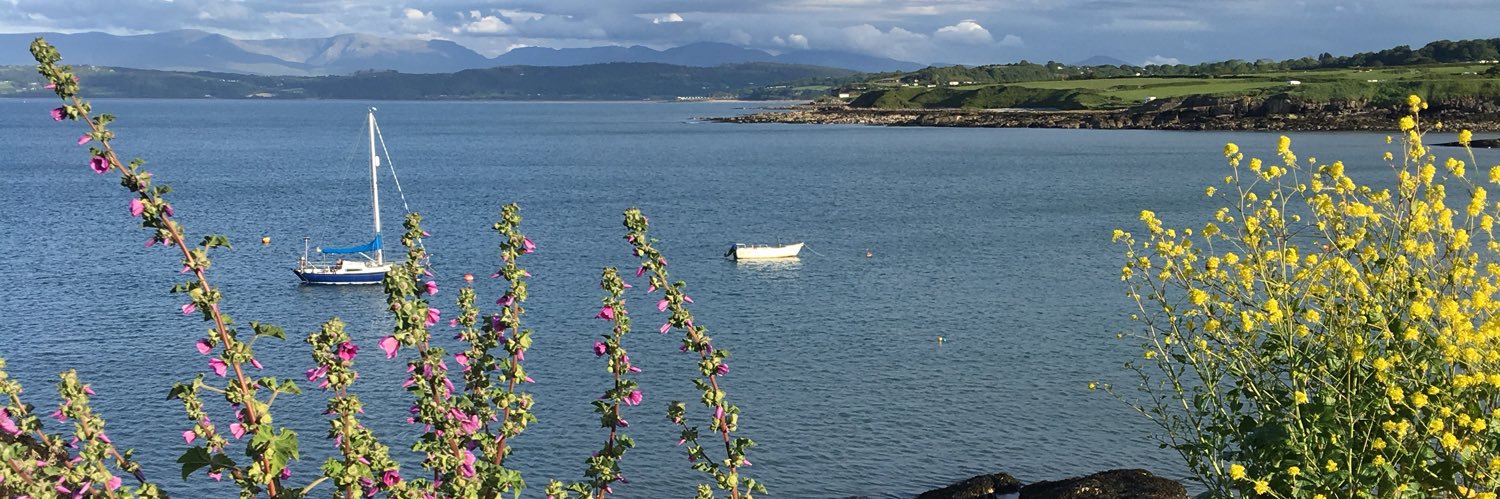 Sandra Clarke banner