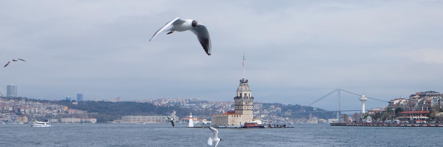 Alpermumcu's profile banner image