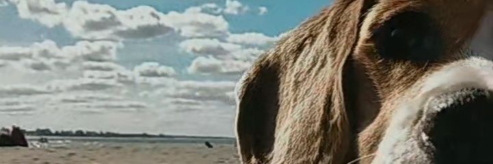 KarenMorann's profile banner image