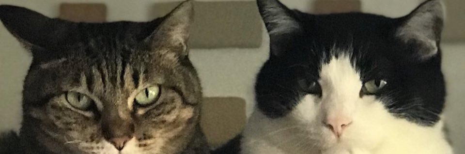 222tomato222's profile banner image