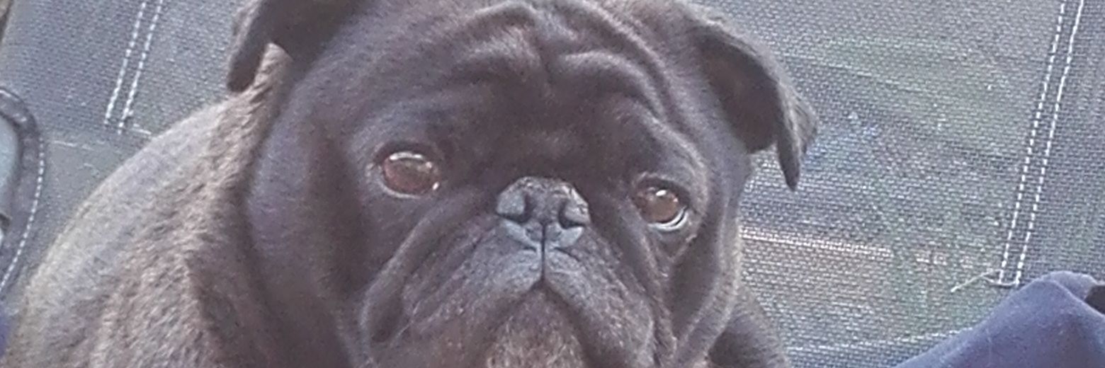 MARIA GAETE (LOS ANDES) banner