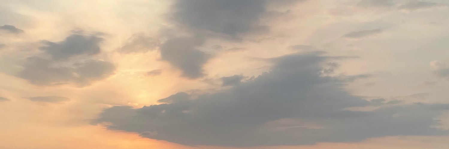 ☀︎ banner