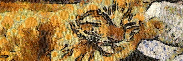 catdrug's profile banner image
