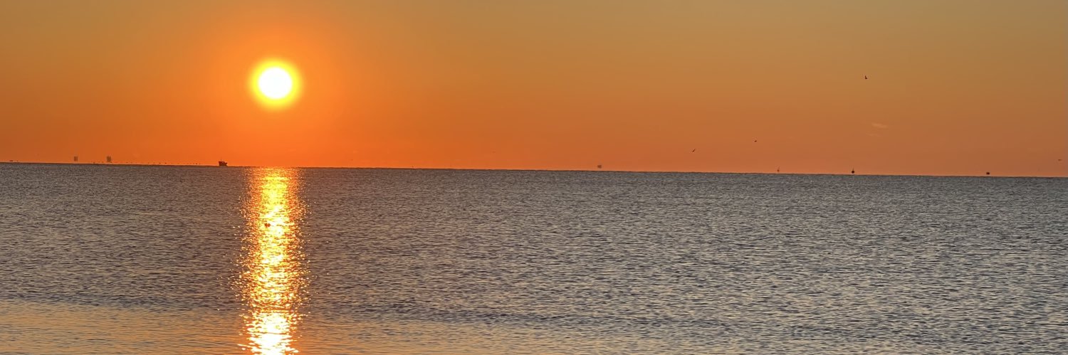 灵感菇✨🌜 banner