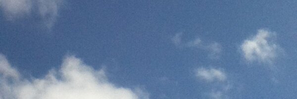 NiamhLehane Profile Banner