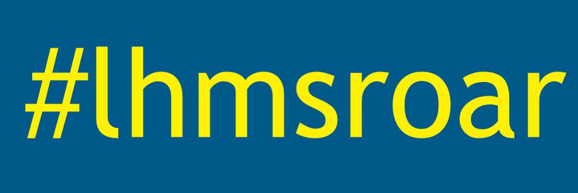 lhmsroar's profile banner image