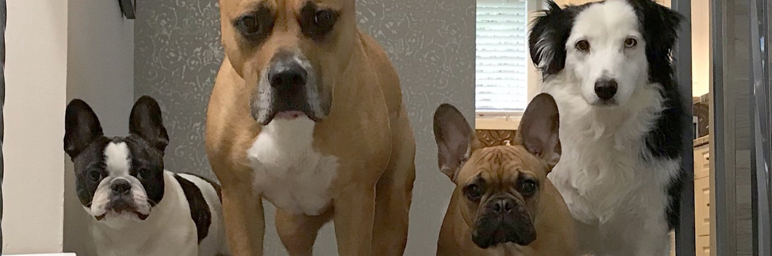 Kelly(Brinkman)Boler banner