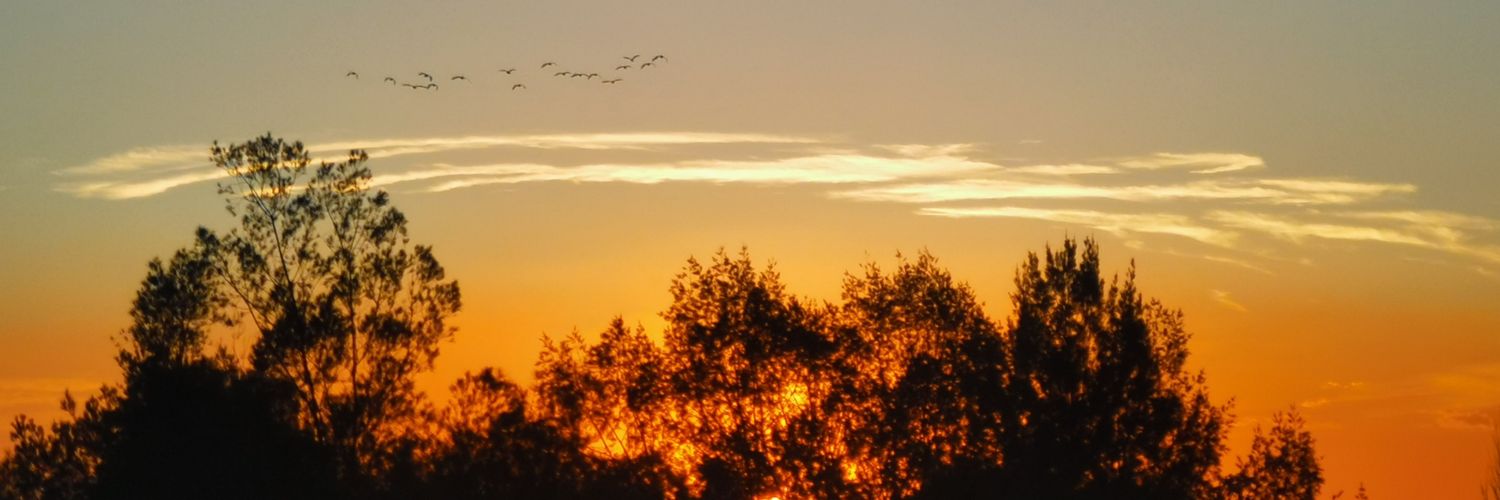mauriciosma's profile banner image