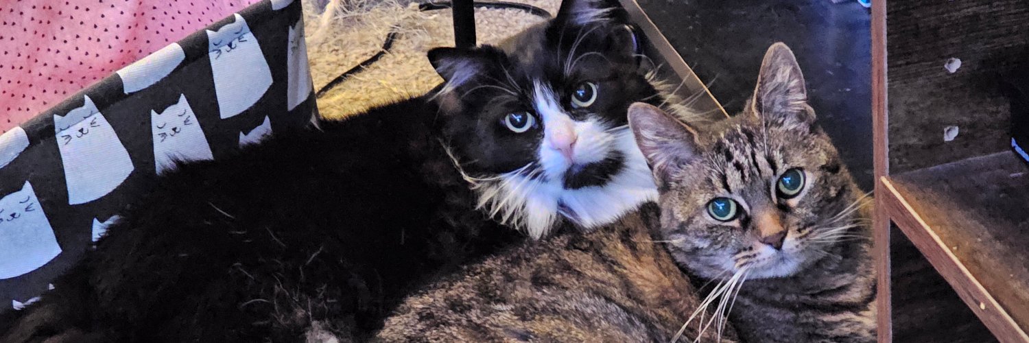 HalcyonicAether banner