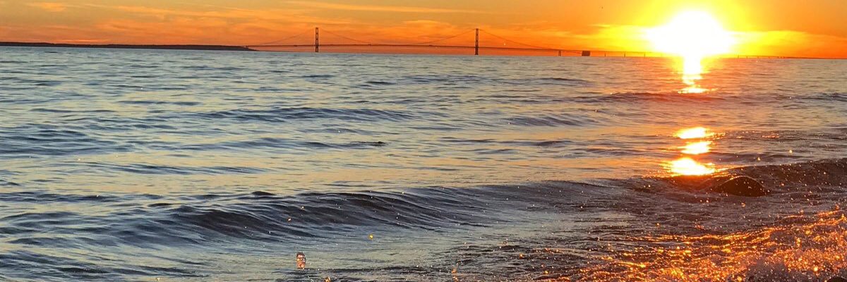 Greg Ricketts banner