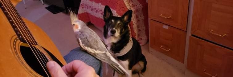 Ab Gamble 🇨🇦, grateful Canadian.. banner