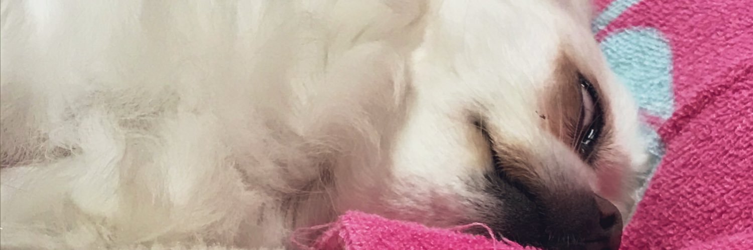 KantenLoveee's profile banner image