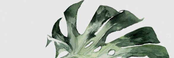Tina_Elsa's profile banner image