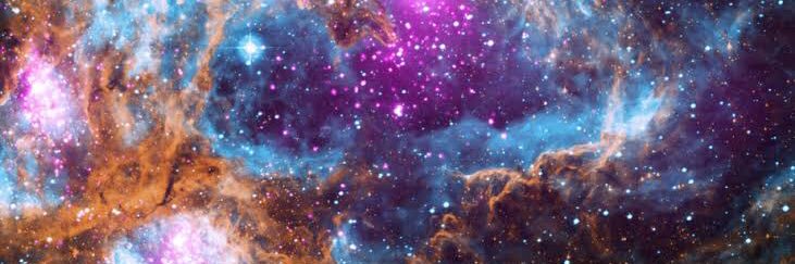 Dan banner