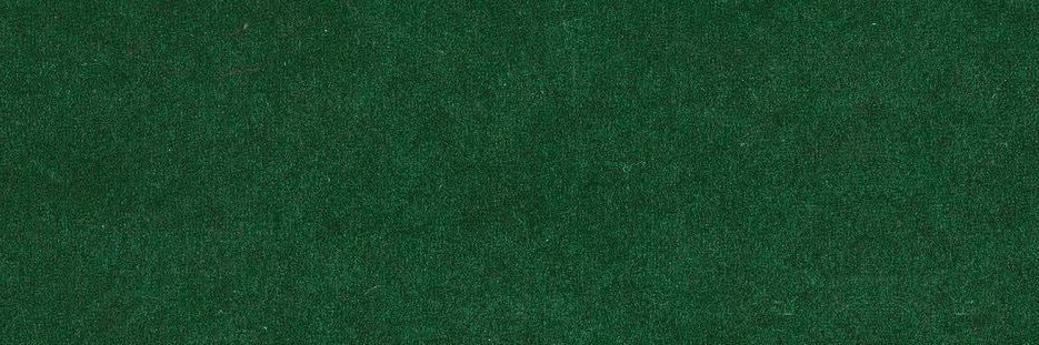 Raven. | Free Tag banner