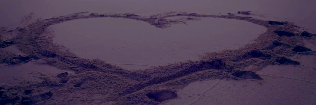 elina banner