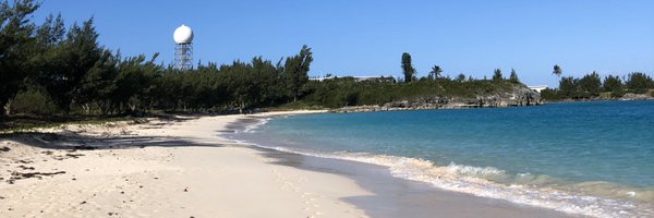 lucy_allinson Profile Banner