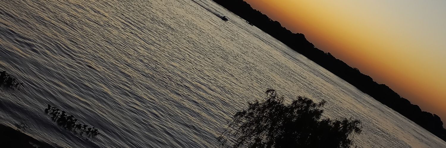 LeilaMarcn's profile banner image