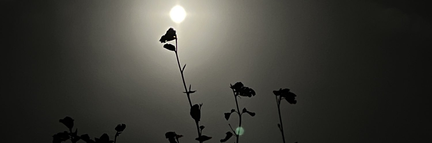 Ulrike Wandner banner