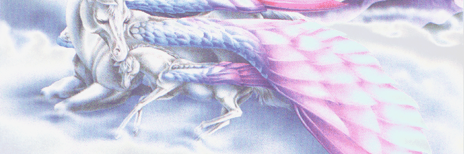sammy9136's profile banner image