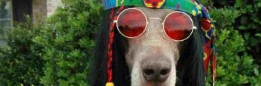 SaycinNimos's profile banner image