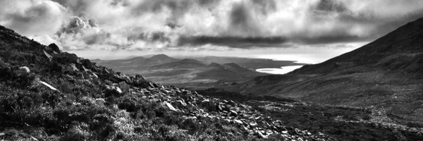 dafyddelfryn Profile Banner