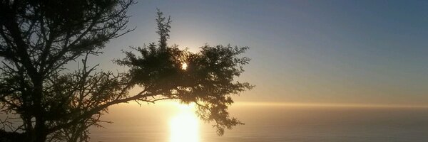 Xanthe027 Profile Banner