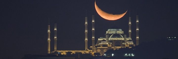 1973Saban's profile banner image