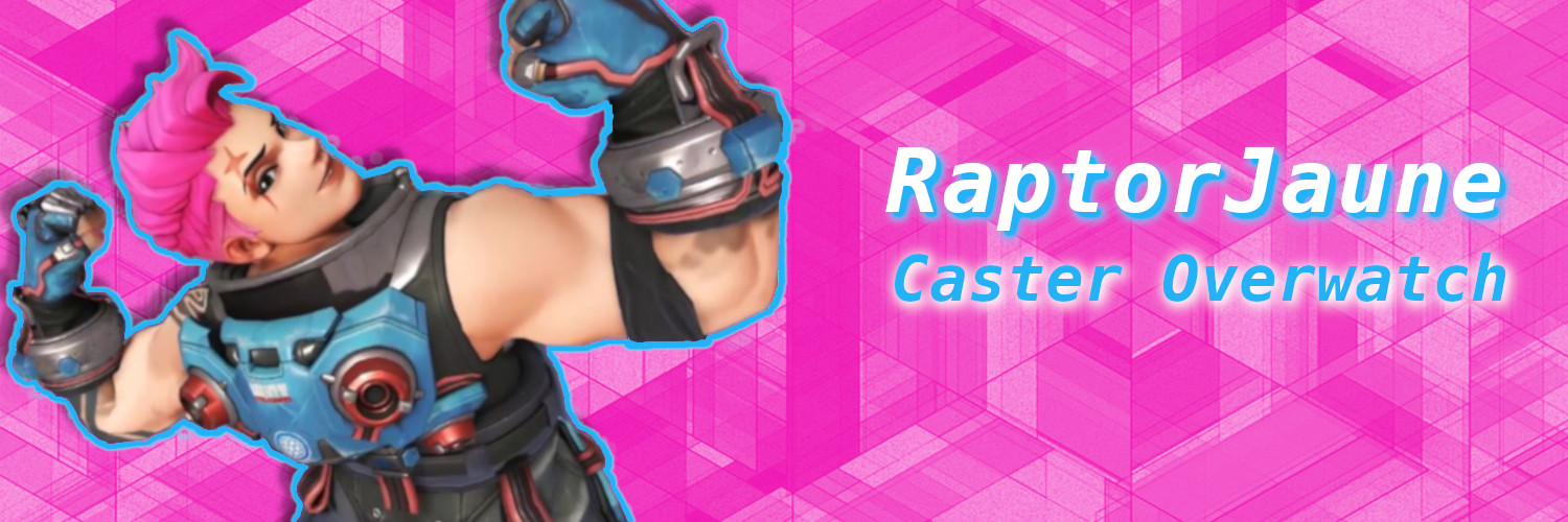 RaptorJaune🦖 banner