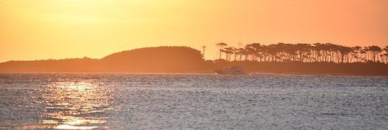 BEATRIZ MARTÌNEZ banner