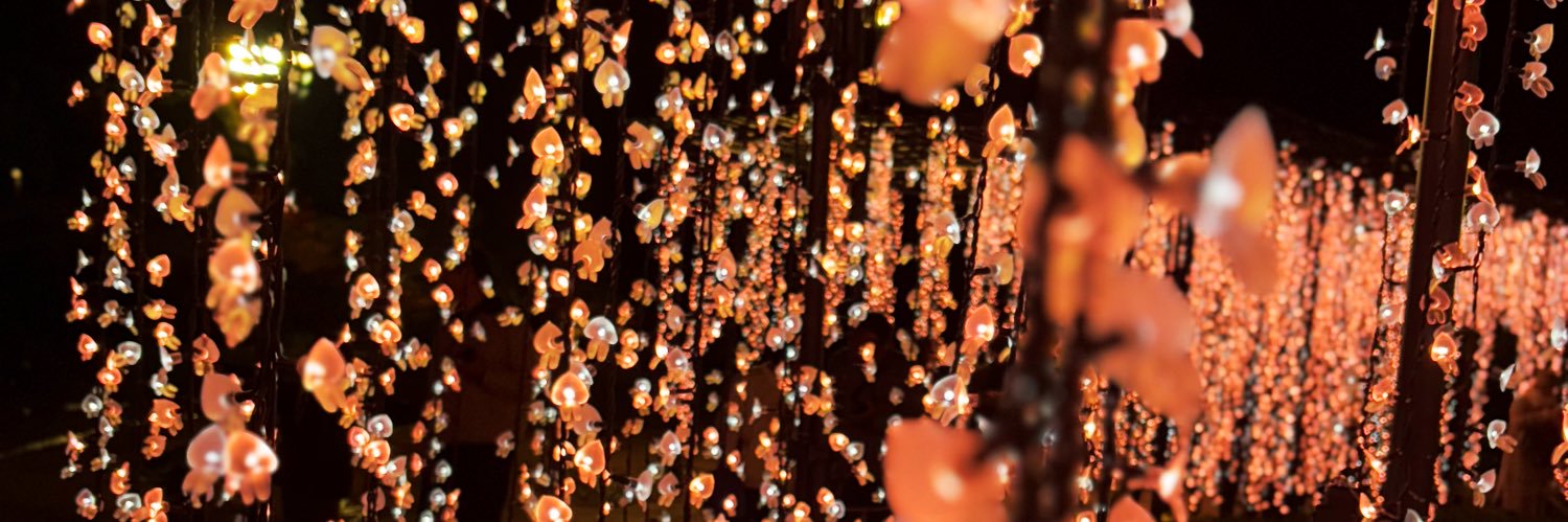 めろこ@太ももちゃん banner