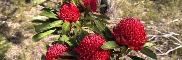 BeauGiles Profile Banner