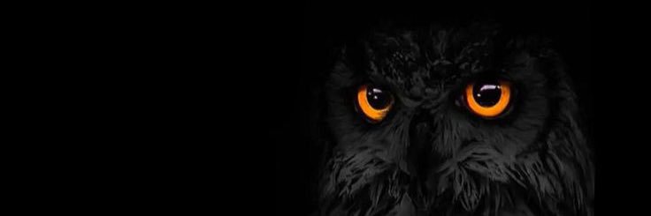 wissam341's profile banner image