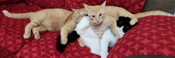 Marthi17 Profile Banner