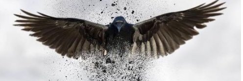 ___ADALET__'s profile banner image