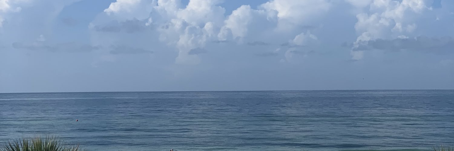 Karen Wilson banner