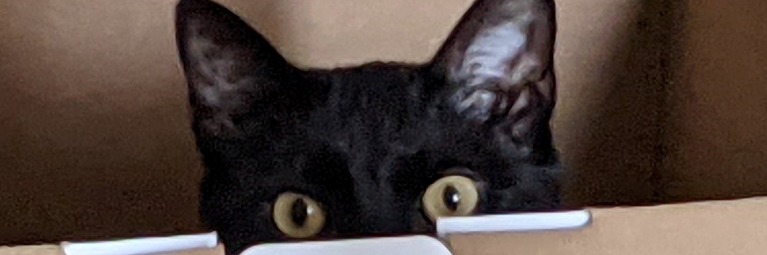 CynTervention's profile banner image