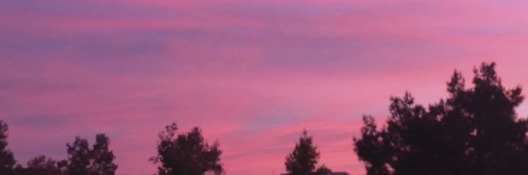 ꔛ banner