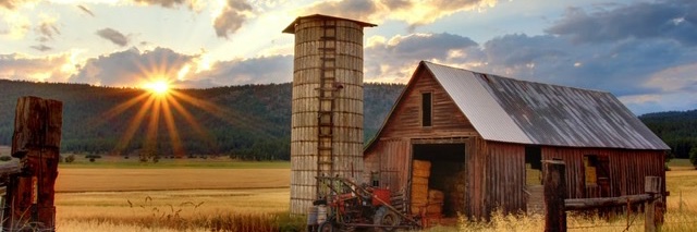 SouthernCoby's profile banner image