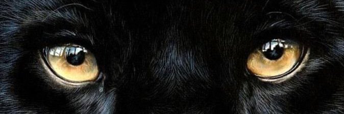 Barreto ✨🪬 banner
