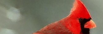 perezteacher's profile banner image