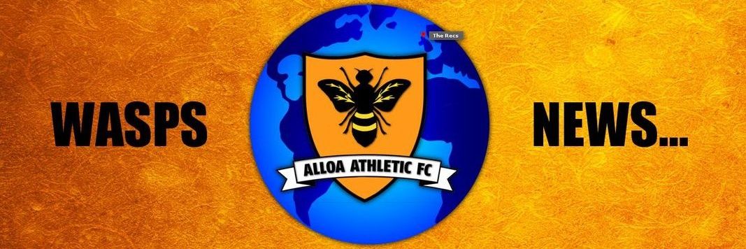 Global Wasps News banner