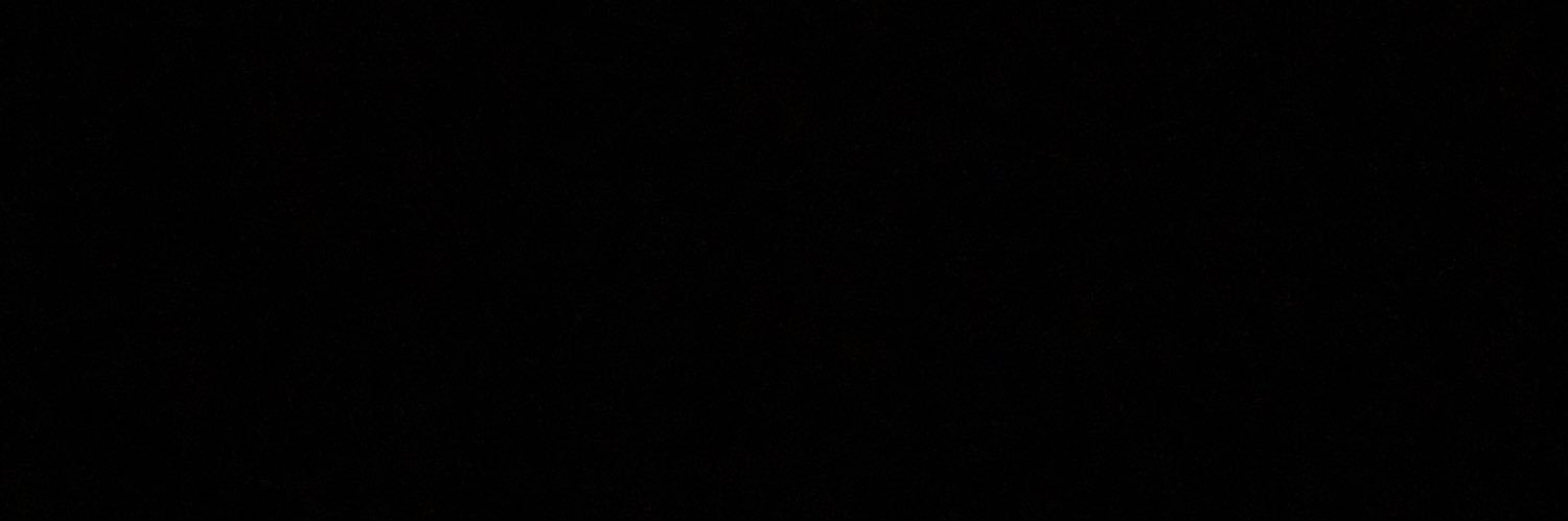 Mantis Ray 🐟 banner