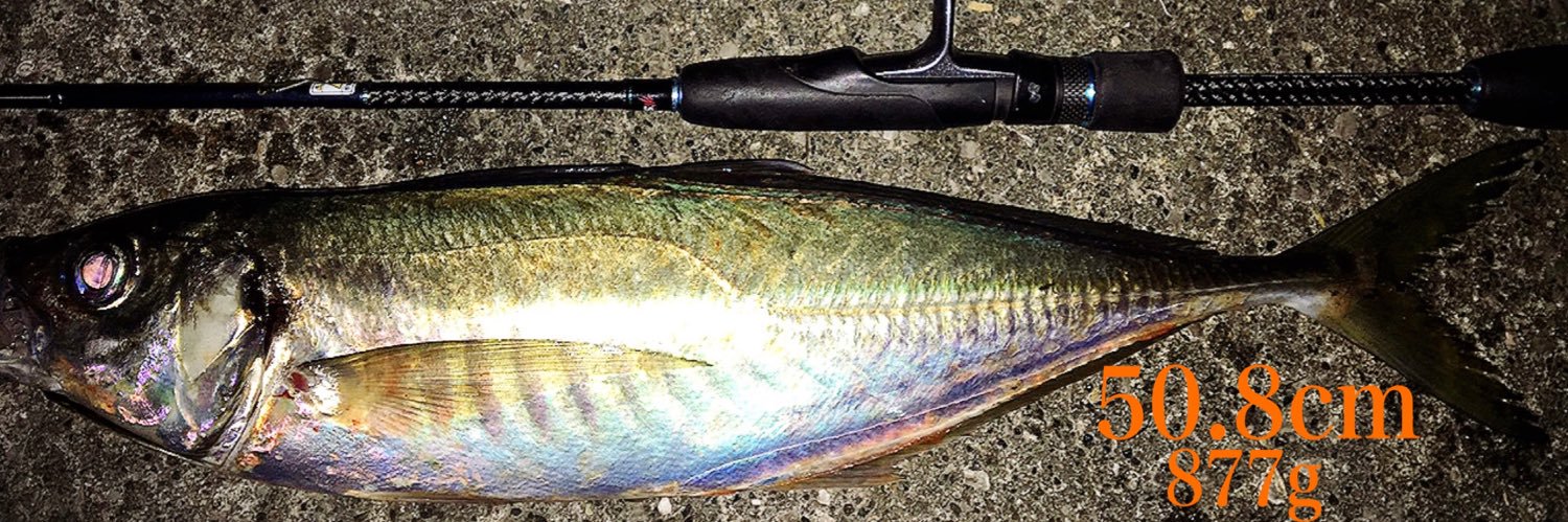 fishingkiuchi's profile banner image
